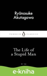 The Life of a Stupid Man