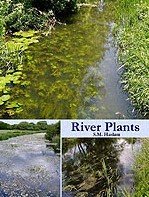 River Plants