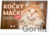 Stolní kalendář Kočky / Stolový kalendár Mačky 2023