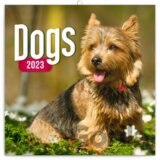 Poznámkový nástěnný kalendář Dogs 2023