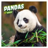 Poznámkový nástěnný kalendář Pandas 2023
