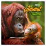 Poznámkový nástěnný kalendář Animal cuties 2023