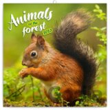 Poznámkový nástěnný kalendář Animal of the forest 2023