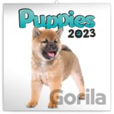 Poznámkový nástěnný kalendář Puppies 2023