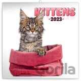 Poznámkový nástěnný kalendář Kittens 2023
