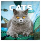 Poznámkový nástěnný kalendář Cats 2023