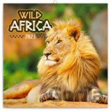 Poznámkový nástěnný kalendář Wild Africa 2023