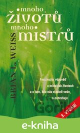 Mnoho životů, mnoho mistrů
