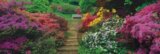 Rozkvetlá zahrada - puzzle Panoramic 100