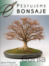 Pěstujeme bonsaje