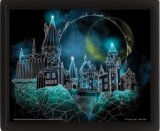 Harry Potter Obraz 3D - Rokfort