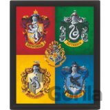 Harry Potter Obraz 3D - farebný