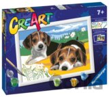 Štěňata Jack Russella