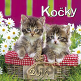 Kočky 2014
