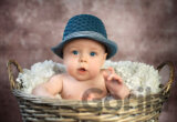 Little Gentleman