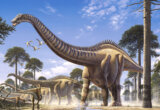 Supersaurus