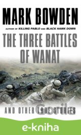Three Battles of Wanat