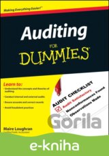 Auditing For Dummies