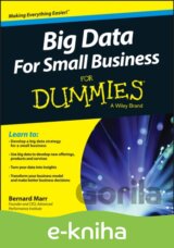 Big Data For Small Business For Dummies