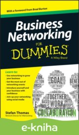 Business Networking For Dummies