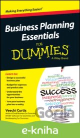 Business Planning Essentials For Dummies