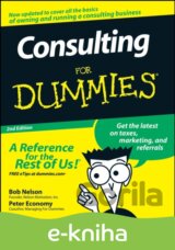 Consulting For Dummies