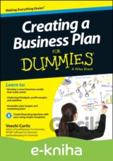 Creating a Business Plan For Dummies