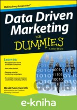 Data Driven Marketing For Dummies