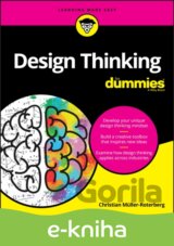 Design Thinking For Dummies