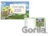 Léčivé bylinky 2023 - stolní kalendář