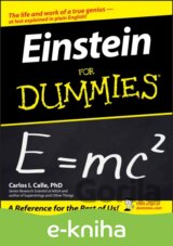 Einstein For Dummies