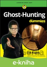 Ghost-Hunting For Dummies