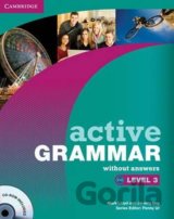 Active Grammar Level 3 without Answers and CD-ROM