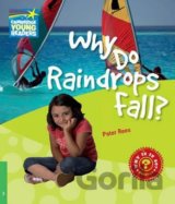 Cambridge Factbooks 3: Why do raindrops fall?