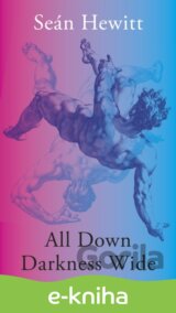 All Down Darkness Wide