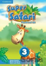 Super Safari Level 3: Flashcards (Pack of 78)