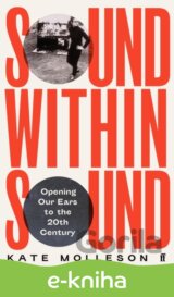 Sound Within Sound