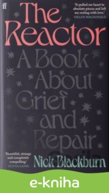 The Reactor