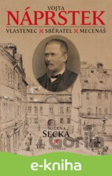 Vojta Náprstek