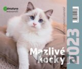 Kalendář 2023: Mazlivé kočky, stolní, týdenní