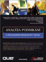 Analýza podnikání s programem Microsoft Excel