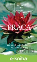 Práca