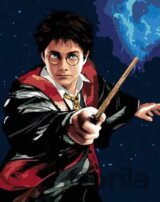 Malování podle čísel: Harry Potter - Harry a hůlka