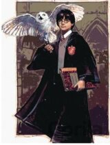 Malování podle čísel: Harry Potter - Harry a Hedvika v Bradavicích