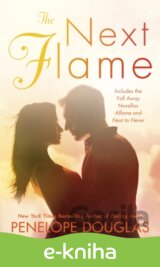 The Next Flame
