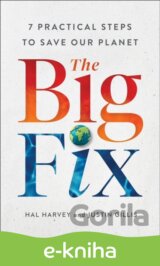 The Big Fix