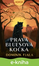 Pravá bluesová kočka