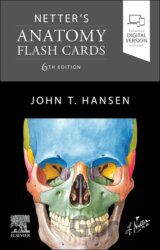 Netter´s anatomy flash cards