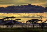 African Landscape