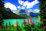 Emerald Lake of Canadian Rockies